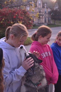 Beaver meets girl scouts.