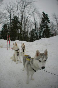 Acadia sees snow for the first time