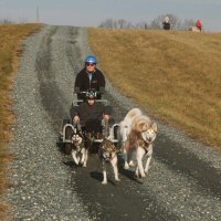 Birthday parties with Maryland Sled Dog Adventures