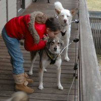 Birthday parties with Maryland Sled Dog Adventures