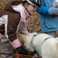Giving the dogs water between dryland dog sled runs.
