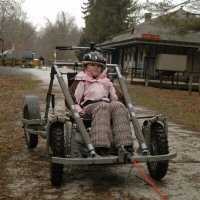 Dog sled rides during a birthday party