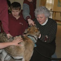 The program included both classroom and outdoor demonstrations on dog sledding and dryland dog sledding.