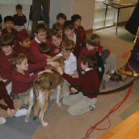 The program included both classroom and outdoor demonstrations on dog sledding and dryland dog sledding.