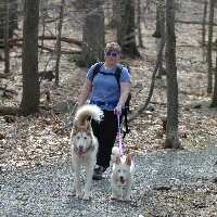 Catherine canicrossing with Sobo and Okemo.