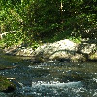 Scenic river