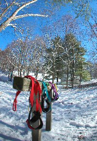 Harnesses hang from hitching post.