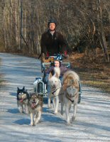 Eric and the team of sled dogs on the Northern Central Rail Trail