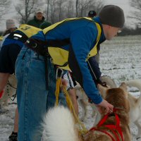 Eric and Sobo ready to run in the canicross class.