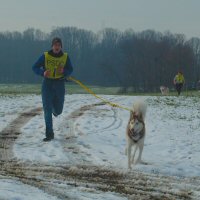 Eric and Sobo ran in the canicross class