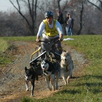 Chris Bannister runs in the four dog class.