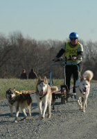Dryland dog sled racing at Fair Hill Natural Resource Management Area.