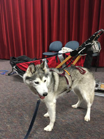Flare attends Roland Park Country School