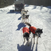 Vale and Beaver prior to a run