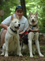 Zoe, our lead dog, is one of our hardest working sled dogs.