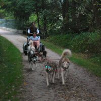 Gee Over is the command to get the dogs to move over on the trail.