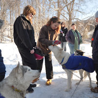 Scouts and sled dogs