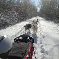 A scouts-eye view of the snow covered trail while working on her patch program