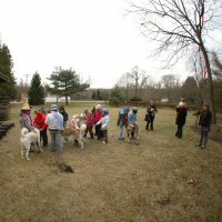 Girl Scouts meet the sled dogs.