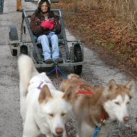 Okemo and Sobo ran in wheel.