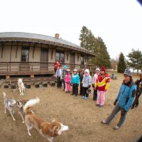 Sobo, Zo&euml;, Acadia and Okemo look over at the Girl Scouts