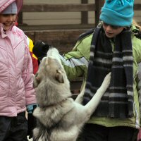 Acadia shows her enthusiasm.