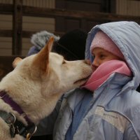 Okemo, a siberian husky mix, says "Good Morning" in his special way.