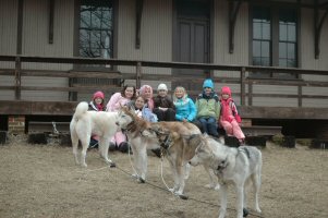Group photo after dryland dog sledding