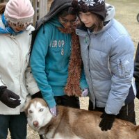 Sobo, a red and white Siberian Husky, enjoys meeting Girl Scouts.
