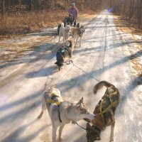 The team pauses on the icy trail