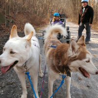 Okemo and Sobo