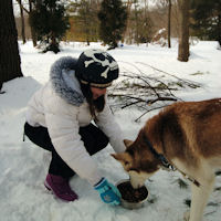 Feeding the pups