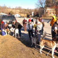 The Girl Scouts meet the sled dogs.