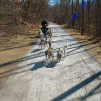 Zo&euml; and Acadia lead the team down the trail.