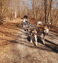 Occasionally, Sobo and Zo&euml; run in lead together.