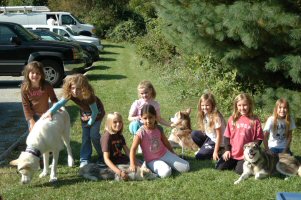 Brownie scouts pose with the dogs after dryland dog sledding