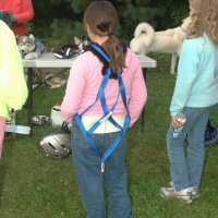 Someone found the harnesses