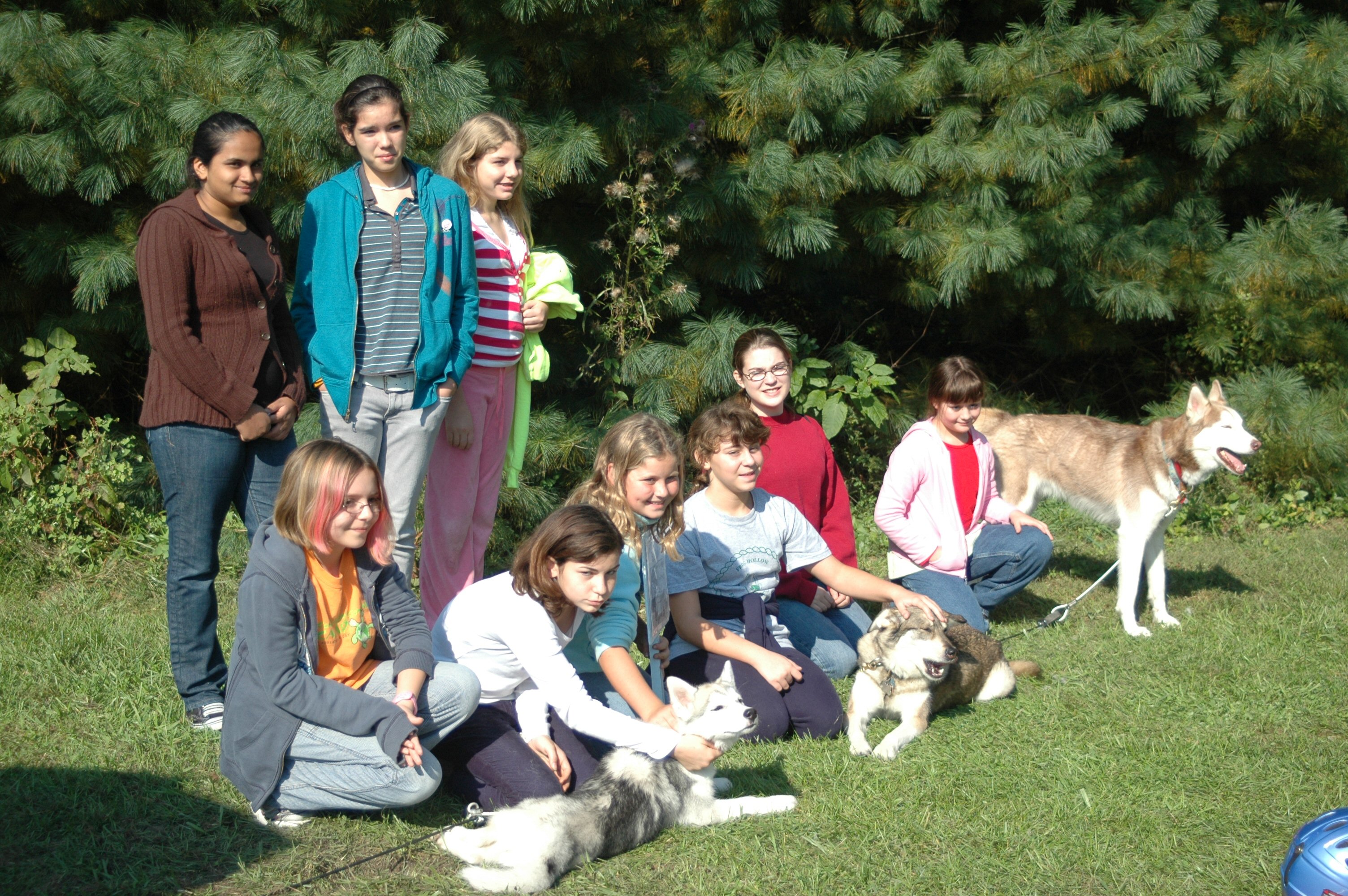 Brownie scouts pose with the dogs after dryland dog sledding