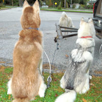 Acadia and Sobo