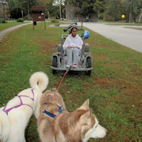 Sobo and Okemo in wheel