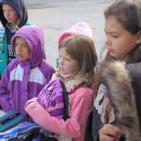 learning about dog sledding