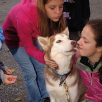 Face kisses