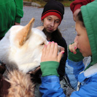 Nose rub