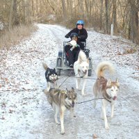 Zoe and Sobo lead the team
