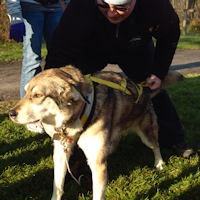 Zoe demonstrates harness fit