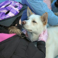 Okemo shows off his brilliant blue eyes.