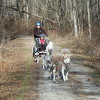 Acadia ran in team for part of the day