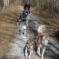 Acadia ran in team and in lead.