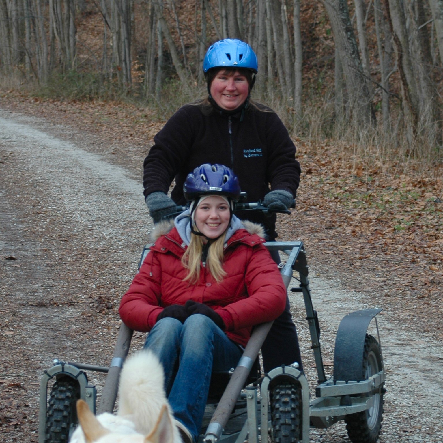 The girls were able to try dryland dog sledding.