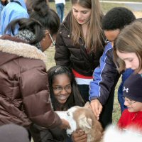 Students meet the sled dog team.